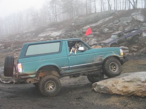 1995 Ford Bronco - A teal Ford Bronco navigates a rocky off-road course, with a dog looking out the window, while another truck ascends a hill behind it.