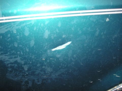 1996 Ford Bronco - Close-up of a teal vehicle's side panel showing a scuff mark and water spots.