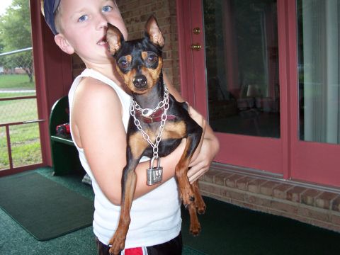 1994 Ford Bronco - A young person holds a dog that is wearing a heavy chain and a padlock around its neck.