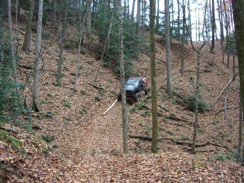 1985 Ford Bronco - A vehicle navigates a steep, wooded trail covered in fallen leaves.