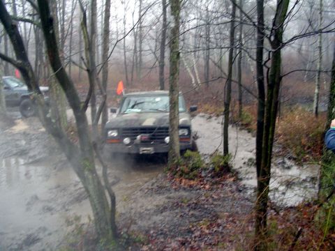 1979 Ford Bronco - Off-road vehicles tackle a muddy path in a wooded area during an overcast day.