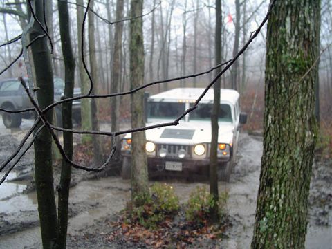 1979 Ford Bronco - Two SUVs navigate a muddy trail in a wooded area during overcast weather.