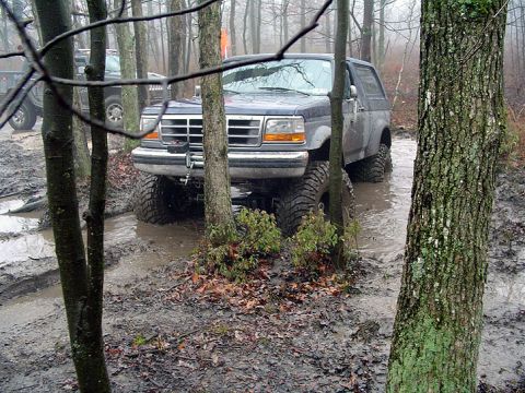 1979 Ford Bronco - A dark blue Ford Bronco navigates a muddy forest trail with another vehicle visible in the background.