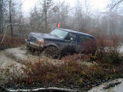 1979 Ford Bronco - SUV is stuck in a muddy trail surrounded by trees and brush.