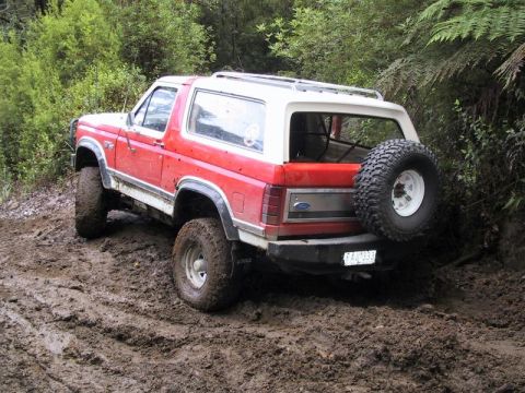 1982 Ford Bronco - The reason why I decided to buy 36" swampers. The muddies are just clogged up. Even when they where at 15psi, they still struggled for trac…
