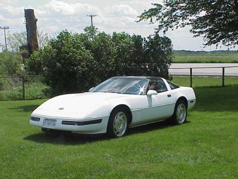 1994 Chevrolet Corvette - White 1994 Chevrolet Corvette parked on a grassy area with a tree and bushes behind it.