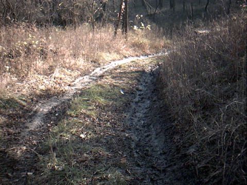 1990 Ford Bronco - Part of the trail. My Beast made it with ease. My friend is his 72 chevy 2 wheel wouldn't try it b/c our tow rope was too short.