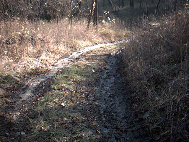 Part of the trail. My Beast made it with ease. My friend is his 72 chevy 2 wheel wouldn't try it b/c our tow rope was too short.