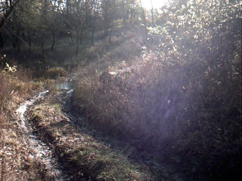 1990 Ford Bronco - This is a little steeper than it looks. This short trail had a muddy down hill with a creek at the bottom then a rocky up hill. After going…