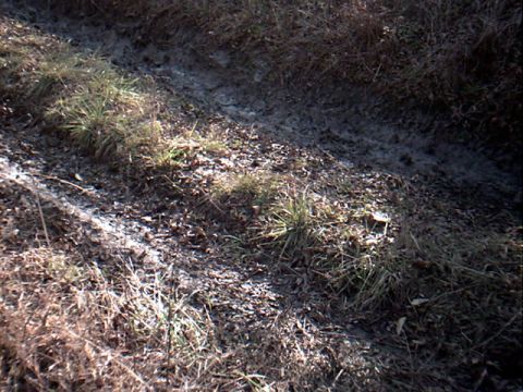 1990 Ford Bronco - Muddy track with grass and leaves, likely from off-roading. Watermark indicates source.