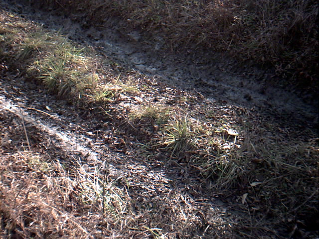 Muddy track with grass and dry leaves, Supermotors.net watermark visible
