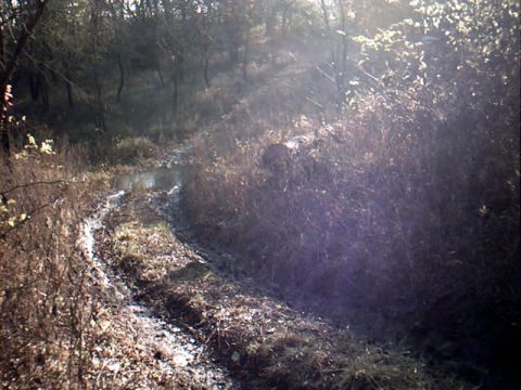 1990 Ford Bronco - First trip pic. I wish I would of had my camera on the 2nd trip. There was a lot more mud. I will go back someday and get pics and tear the…