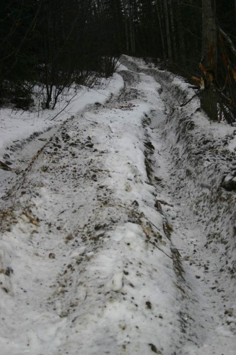 2003 Jeep TJ - Tire tracks are visible in the snow on a forest road.