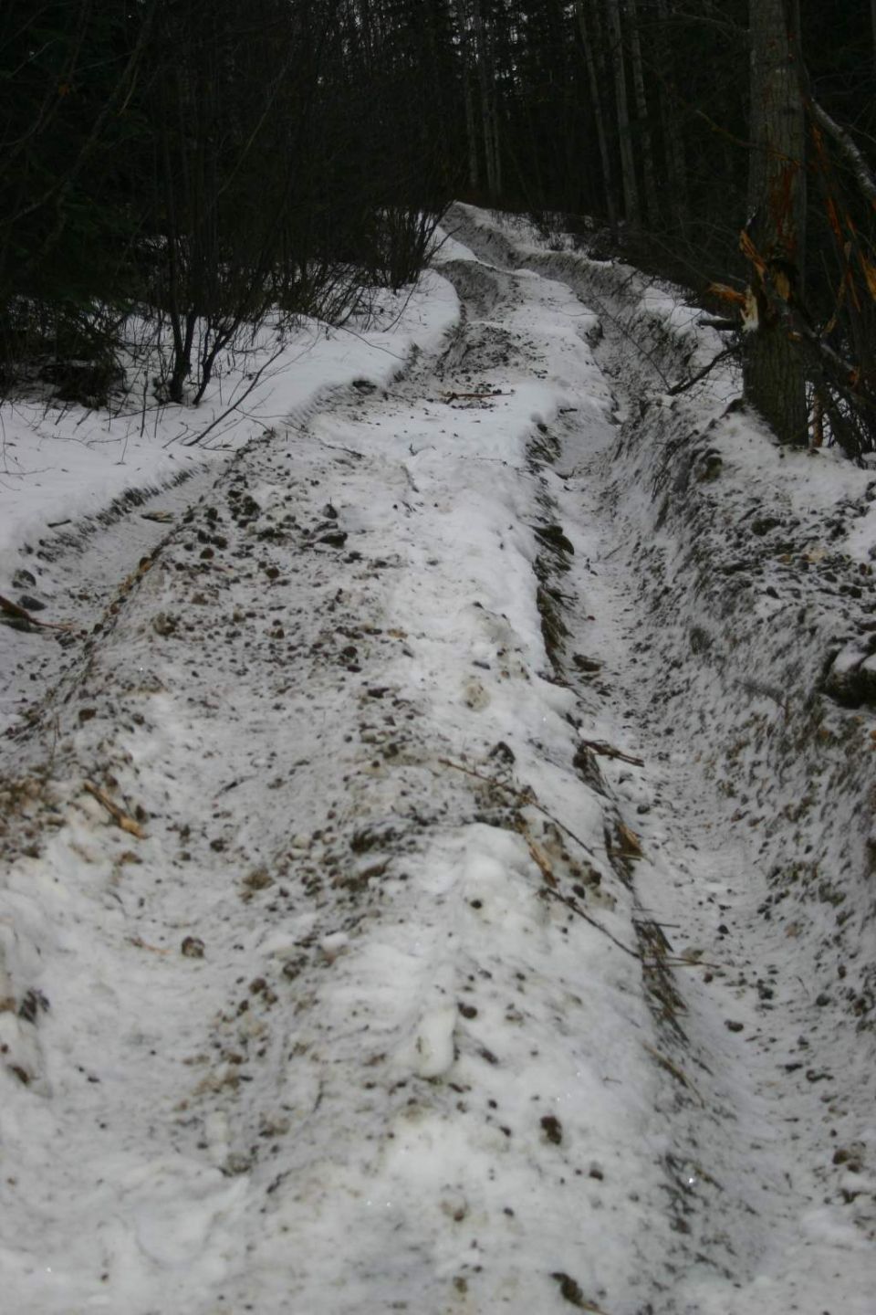 Snowy tire tracks on a muddy dirt road in a forest