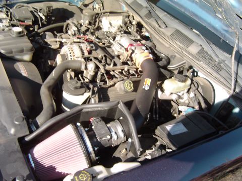 1999 Ford Crown Victoria - September 26, 2004 Side view of complete K&N Cold Fuel Injection Performance Kit and Poweraid throttle body spacer installed.