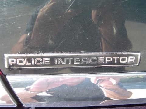 1999 Ford Crown Victoria - August 28, 2004 Police Interceptor Logo close up.