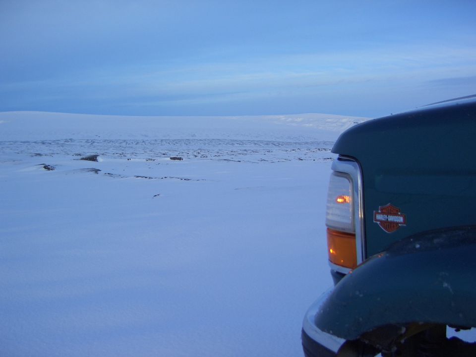 Rear corner of dark green Ford with Harley-Davidson badge in snowy landscape