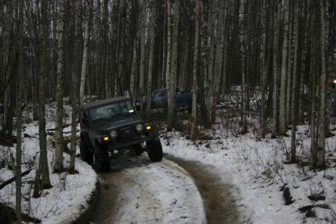 2003 Jeep TJ - Two off-road vehicles travel through a snowy birch forest on a dirt track.