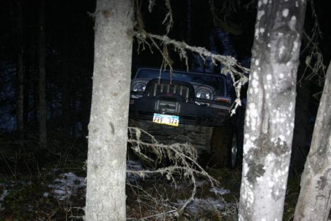 2003 Jeep TJ - A 2003 Jeep TJ is partially obscured by trees in a wooded area at night.