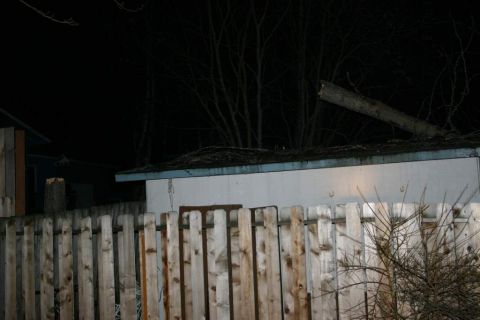 2003 Jeep TJ - A backyard scene is illuminated at night, showing a wooden fence and a shed with a tree branch on its roof.