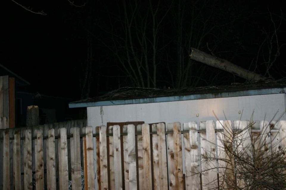 Backyard at night with a wooden fence, a shed, and a fallen tree branch on the roof