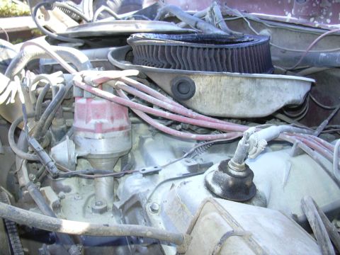 1978 Ford Bronco - Close-up view of the engine compartment of a 1978 Ford Bronco, highlighting the distributor cap and air filter assembly.