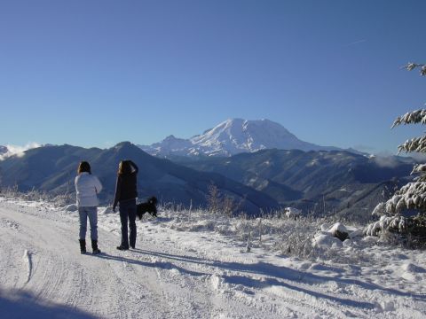 1991 Ford Bronco - A scenic winter view with two people and a dog on a snowy road, overlooking a snow-covered mountain range.