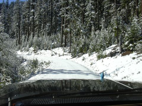 1991 Ford Bronco - Untouched snow, pretty cool!