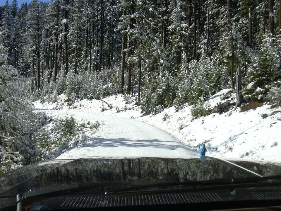 Untouched snow, pretty cool!