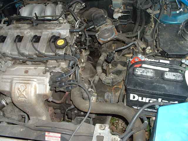 Engine bay of a transverse V6 with plug wires, yellow oil cap and DuraLast battery, teal fender
