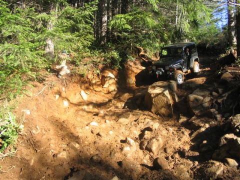 2004 Jeep Wrangler photo