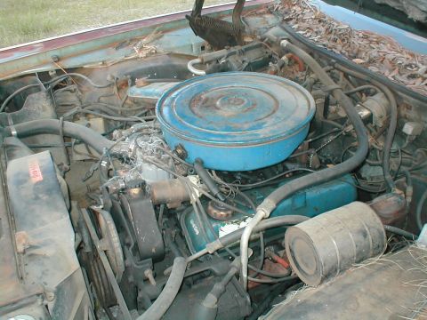 1979 Ford Bronco photo