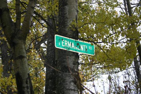 2003 Jeep TJ - A weathered green street sign is mounted on a tree trunk amidst autumn foliage.