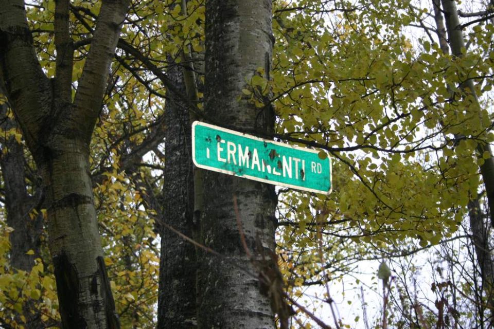 Green street sign reading "PERMANENTI RD" attached to a tree trunk
