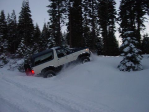 1986 Ford Bronco - Ford Bronco navigating a snowy trail with trees surrounding the area.