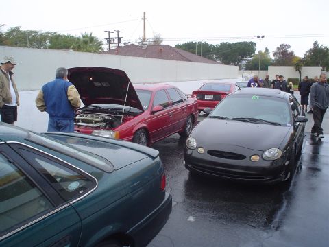 1993 Ford Taurus - Multiple Ford Tauruses are gathered on a wet lot, with one black model in the foreground and a red one with its hood open.