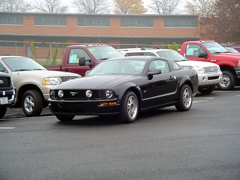 1979 Ford Bronco - A black 2005 Ford Mustang GT is parked in a lot with other vehicles.