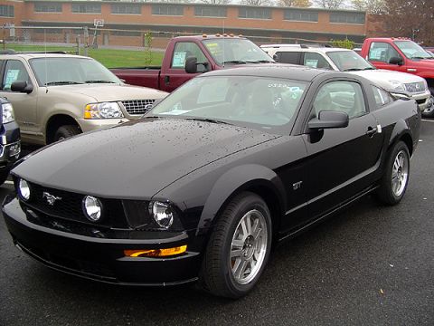 1979 Ford Bronco - Black Ford Mustang GT parked in a lot with other vehicles visible.