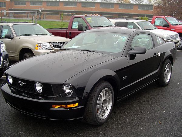 Black Ford Mustang GT parked in lot with other vehicles