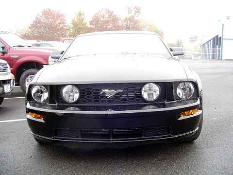 1979 Ford Bronco - A black Ford Mustang is parked outside on a wet day, with a red truck visible behind it.