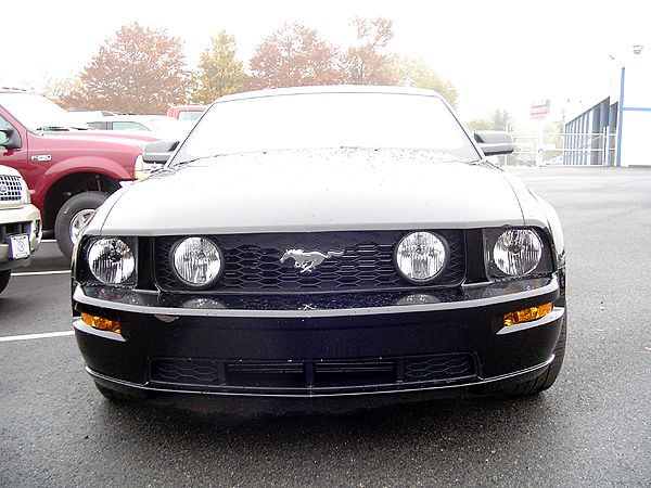 Front view of a black Ford Mustang with a running horse emblem on the grille. A red truck is parked behind it