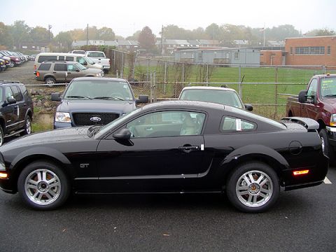 1979 Ford Bronco - Side view of a black Ford Mustang GT coupe parked in a lot with other vehicles.