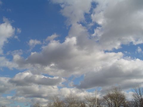 1990 Ford Bronco - Sky with clouds and bare trees visible, with a SUPERMOTORS logo in the corner.