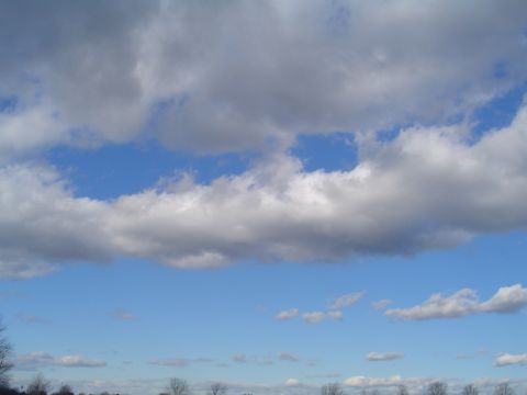 1990 Ford Bronco - A wide shot of a cloudy sky with a treeline visible at the bottom.