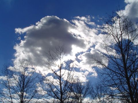 1990 Ford Bronco - Sky with clouds and trees, no vehicle visible.