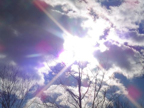 1990 Ford Bronco - Sunlight streams through clouds, with bare tree branches in the foreground.