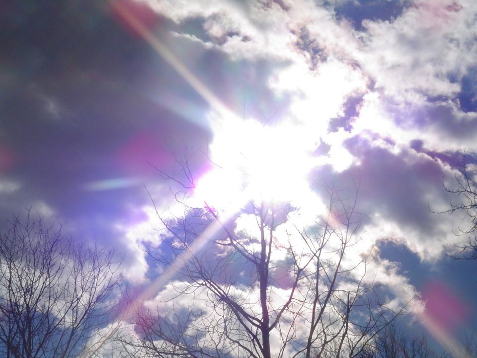 Sun breaking through clouds with lens flare above bare winter tree branches
