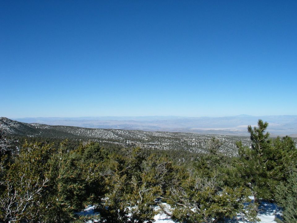 Mountain landscape with snow-dusted trees under a clear blue sky