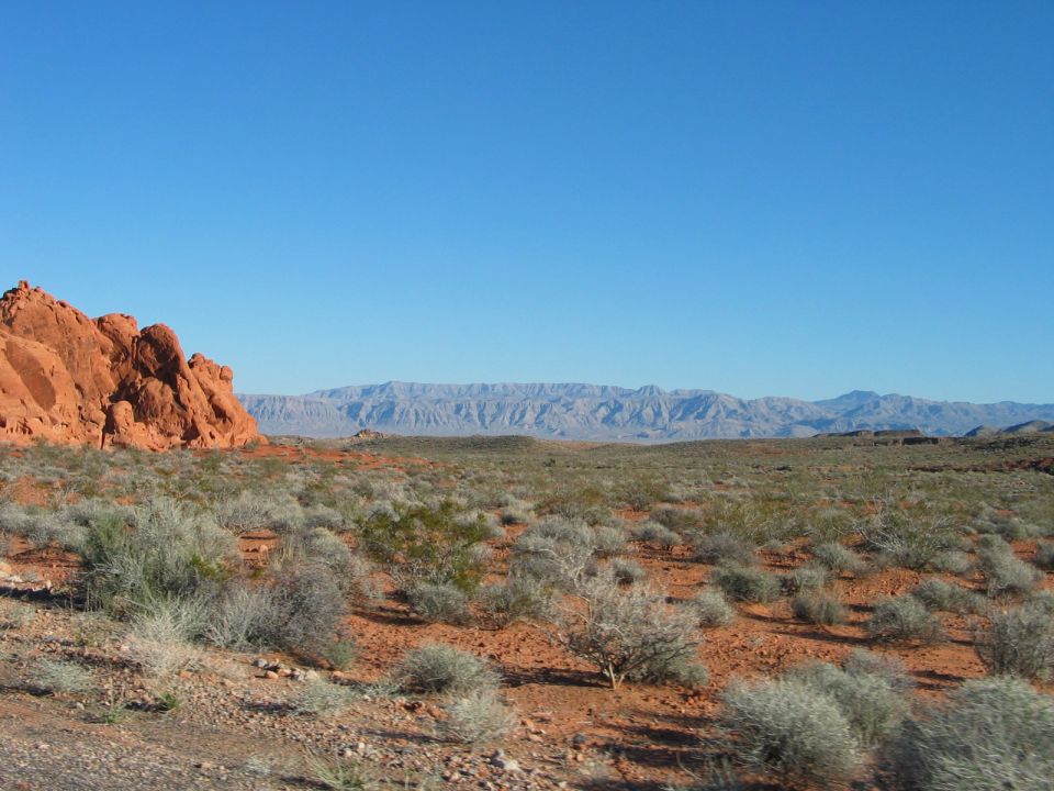 Desert landscape with red rock formations and sparse vegetation under a clear blue sky