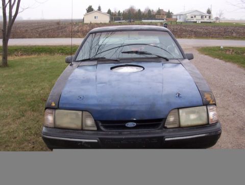 1988 Ford Mustang photo